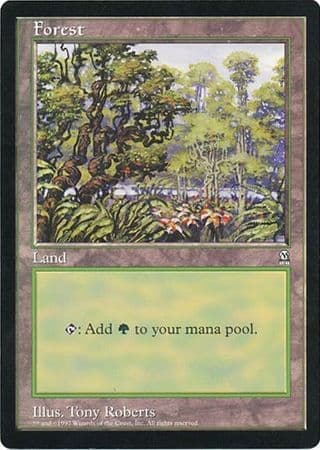 Forest (Oversized) [Oversize Cards] Foil