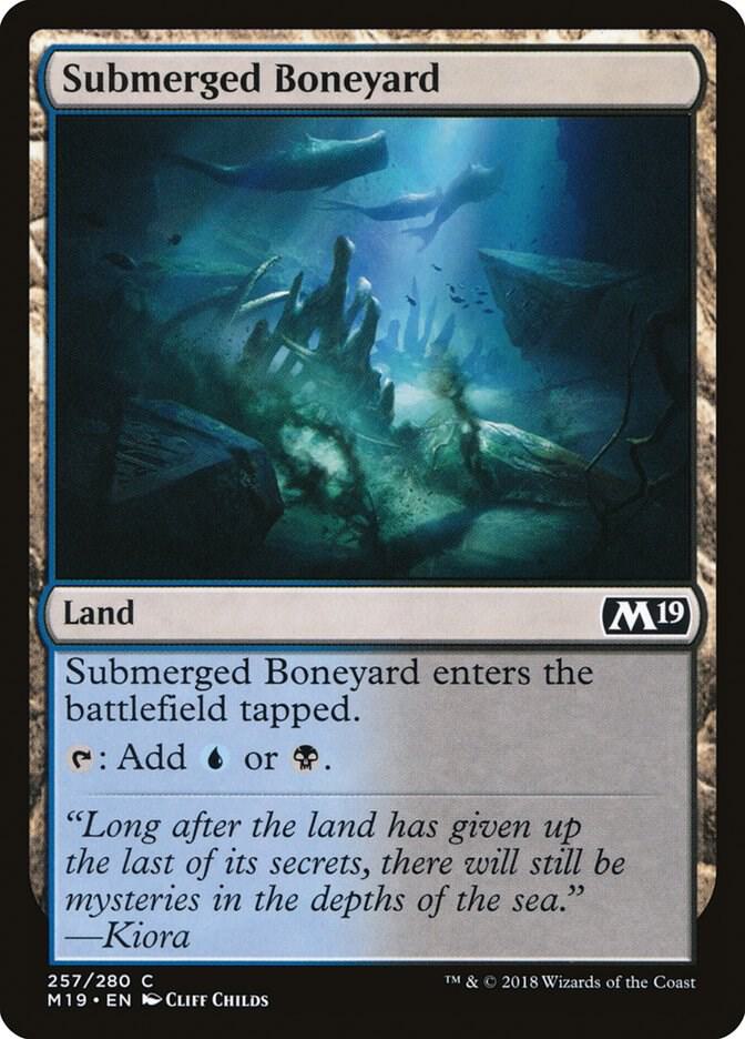 Submerged Boneyard 257/280 (Core Set 2019)  - Foil