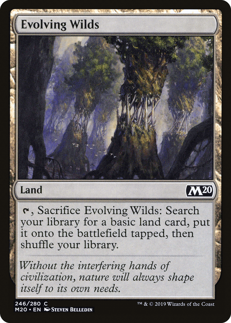 Evolving Wilds [Core Set 2020] Foil