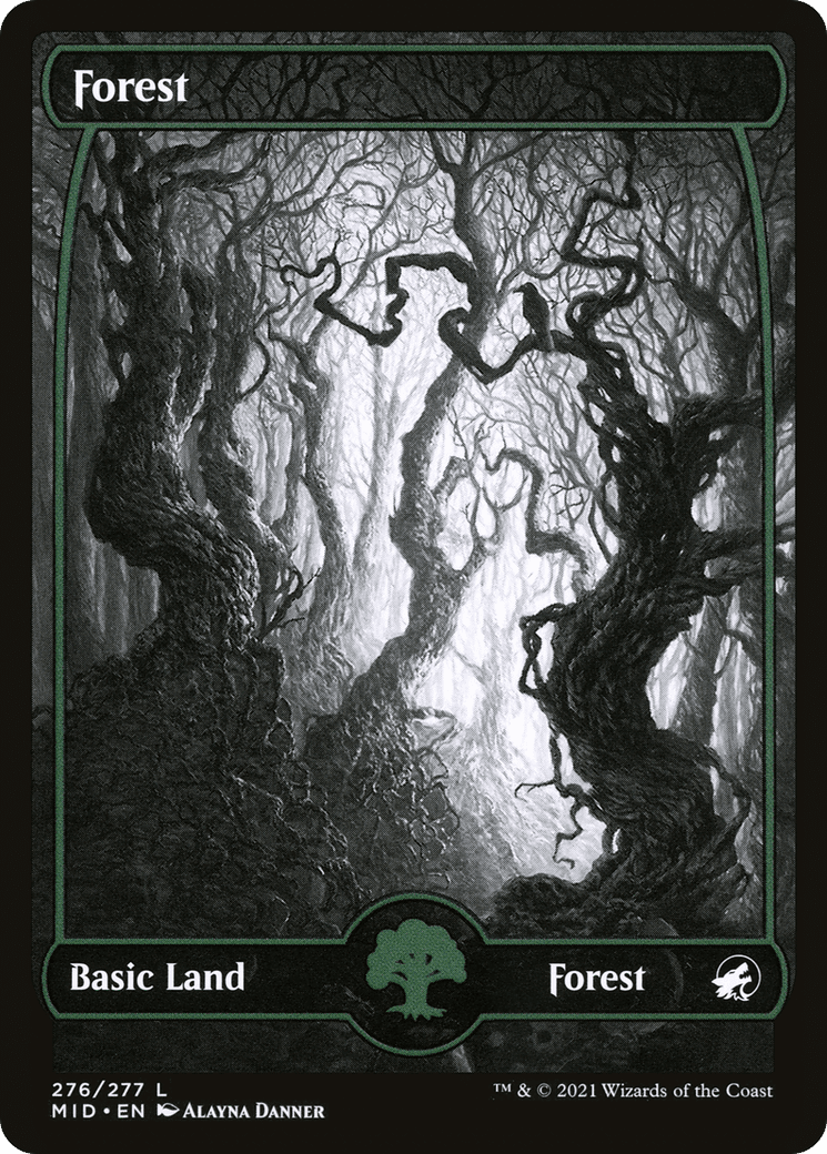 Forest (276) [Innistrad: Midnight Hunt] Foil
