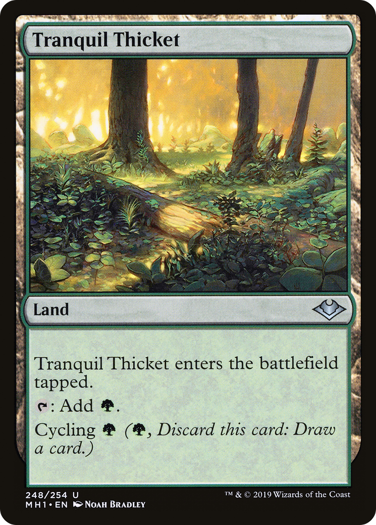 Tranquil Thicket [Modern Horizons]