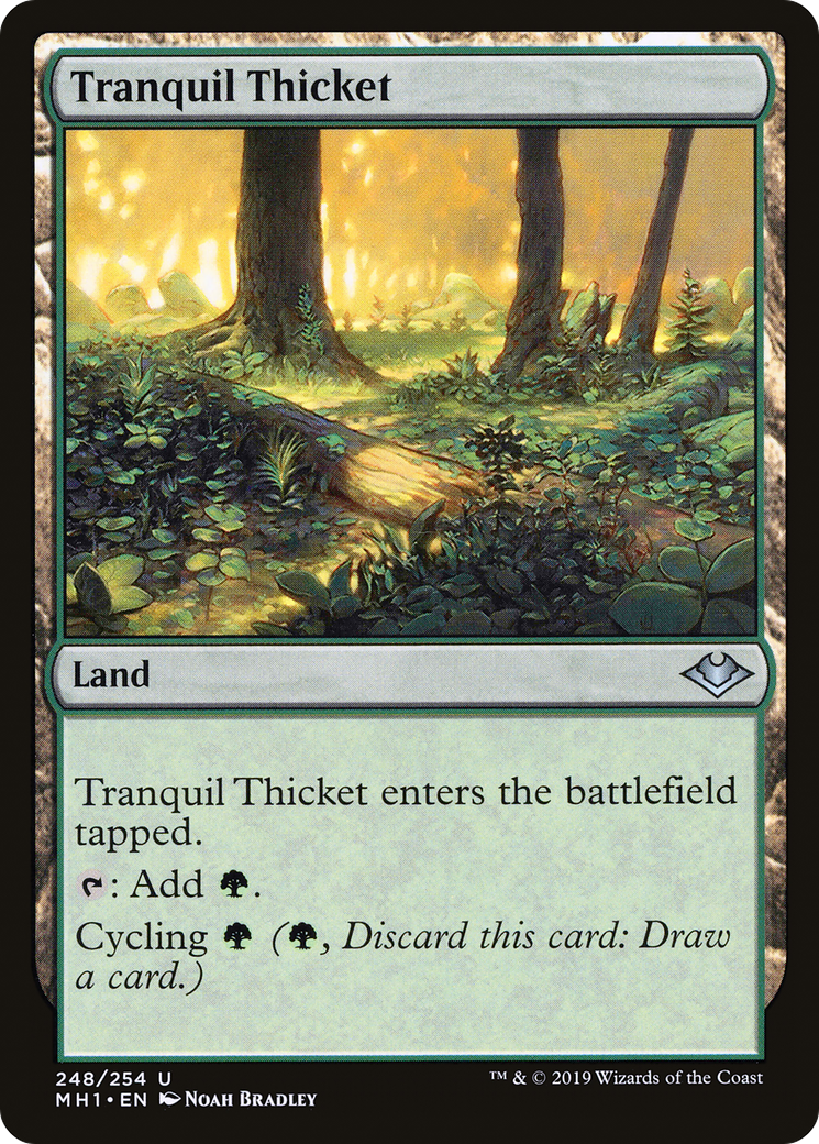 Tranquil Thicket [Modern Horizons] Foil