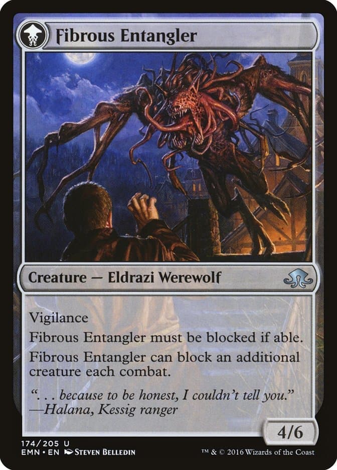 Tangleclaw Werewolf // Fibrous Entangler [Eldritch Moon] Foil
