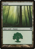 Forest 70/71 (Duel Decks: Phyrexia vs. the Coalition) 