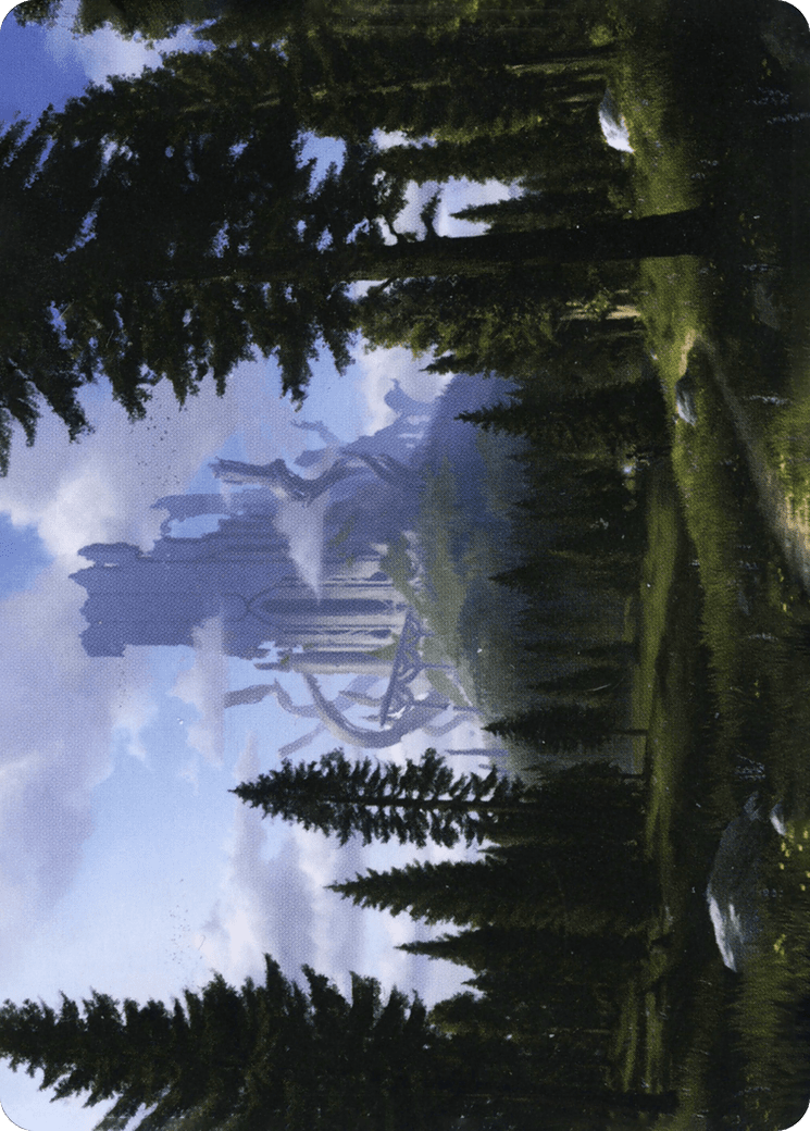 Forest // Forest (AAFR-061) - Adventures in the Forgotten Realms Art Series (Borderless)