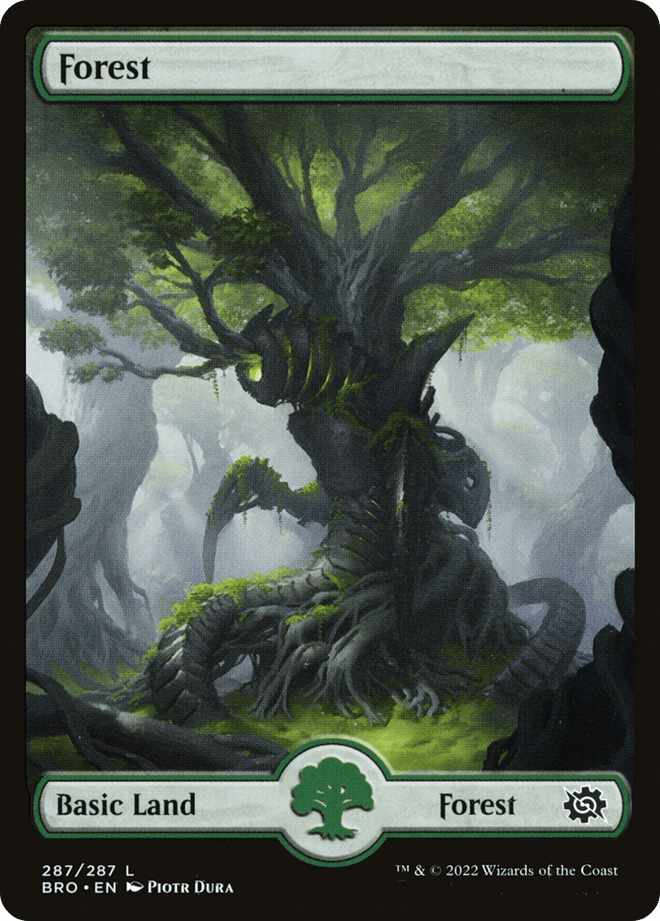 Forest (287) [The Brothers' War] Foil