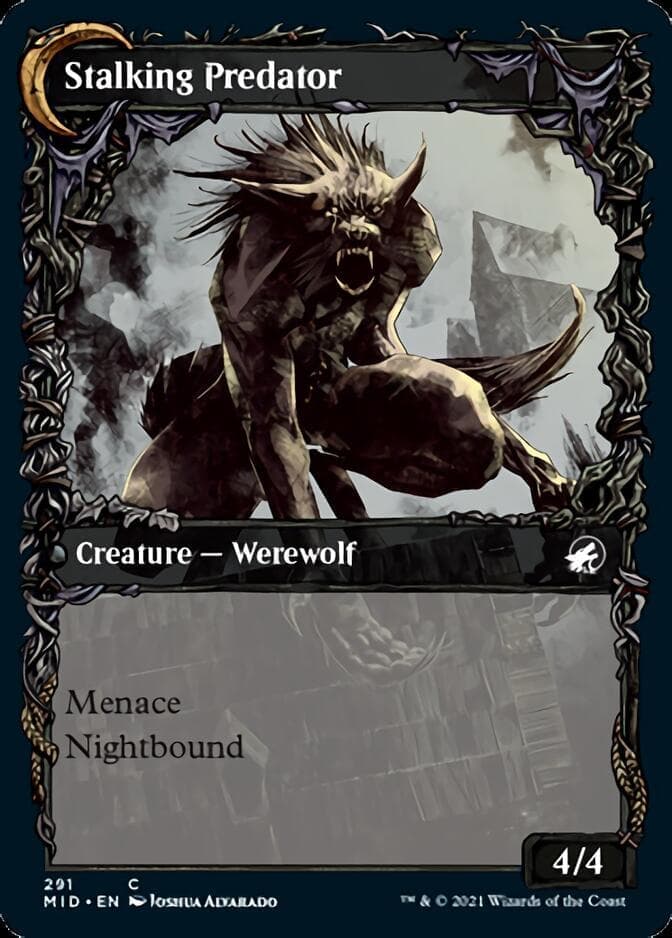 Shady Traveler // Stalking Predator (Showcase Equinox) [Innistrad: Midnight Hunt] Foil