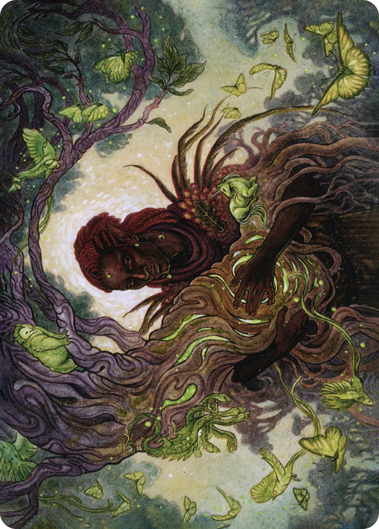 Circle of Dreams Druid // Circle of Dreams Druid (AAFR-066) - Adventures in the Forgotten Realms Art Series (Borderless) Foil