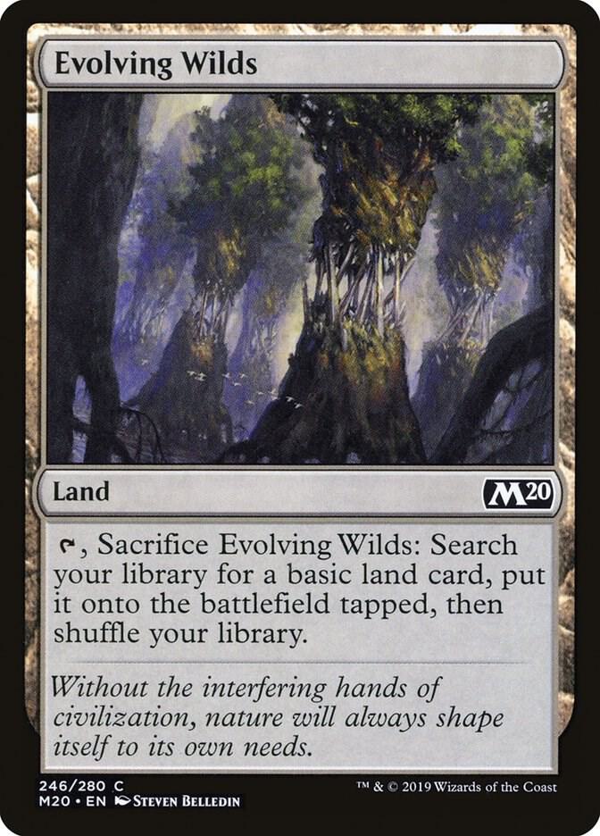 Evolving Wilds 246/280 (Core Set 2020) 
