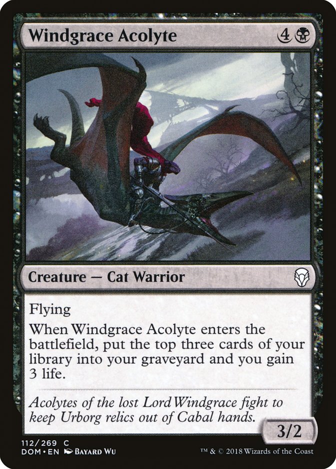 Windgrace Acolyte 112/269 (Dominaria)  - Foil