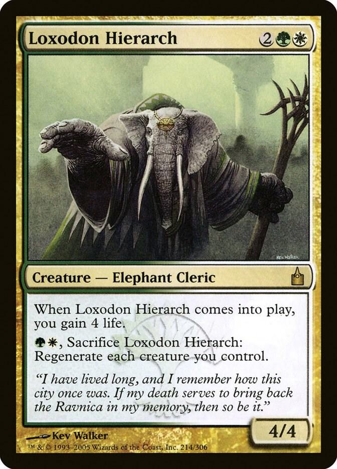 Loxodon Hierarch 214/306 (Ravnica: City of Guilds) 