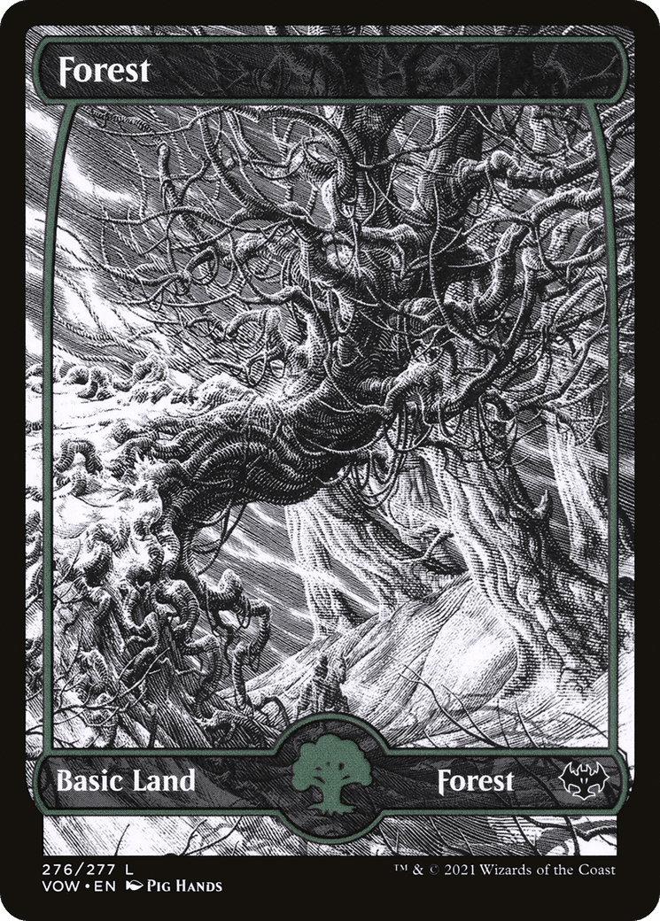 Forest (276) [Innistrad: Crimson Vow] Foil
