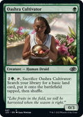 Oashra Cultivator 697 (Jumpstart 2022) 