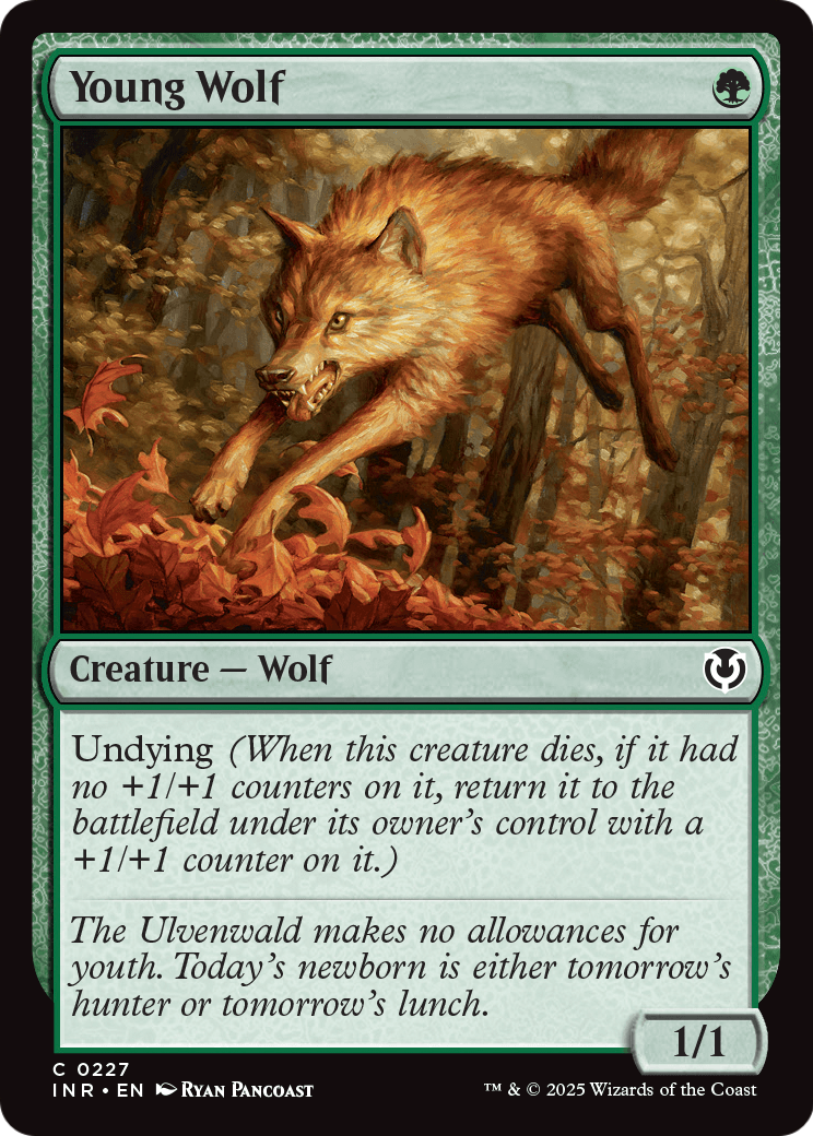 Young Wolf (-227) [Innistrad Remastered]  Foil