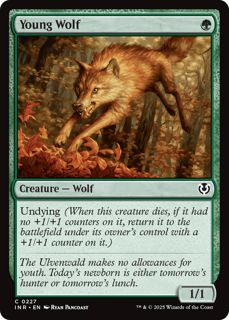 Young Wolf (-227) [Innistrad Remastered]  Foil