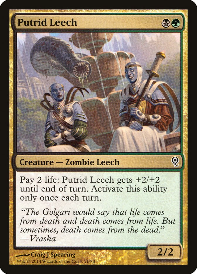 Putrid Leech 51/88 (Duel Decks: Jace vs. Vraska) 