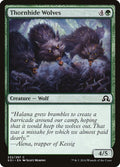 Thornhide Wolves 232/297 (Shadows over Innistrad) 