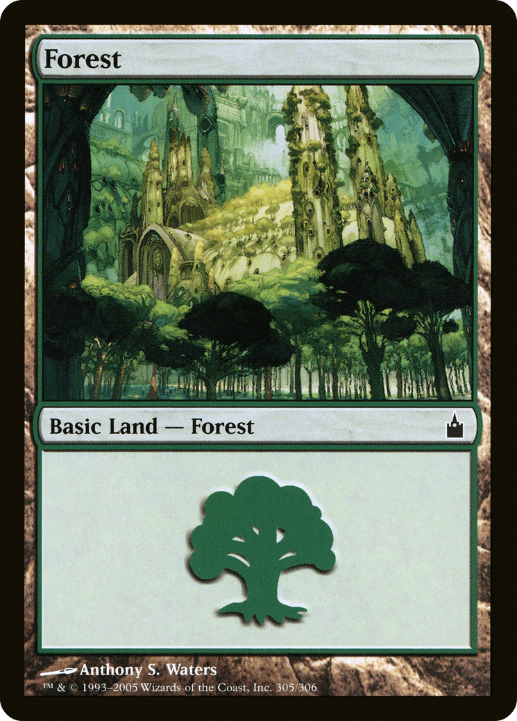 Forest (305) [Ravnica: City of Guilds] Foil
