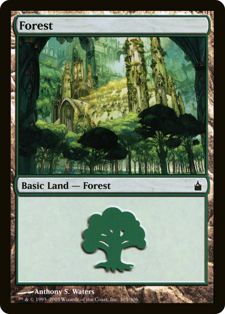 Forest (305) [Ravnica: City of Guilds] Foil