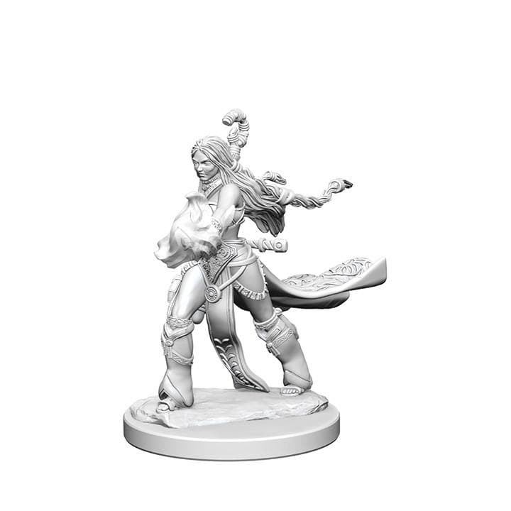 Pathfinder Battles: Deep Cuts Miniatures | Human Female Sorcerer