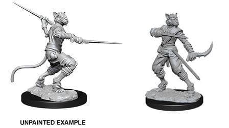 D&D Nolzur's Marvelous Miniatures | Tabaxi Rogue (Male - B)
