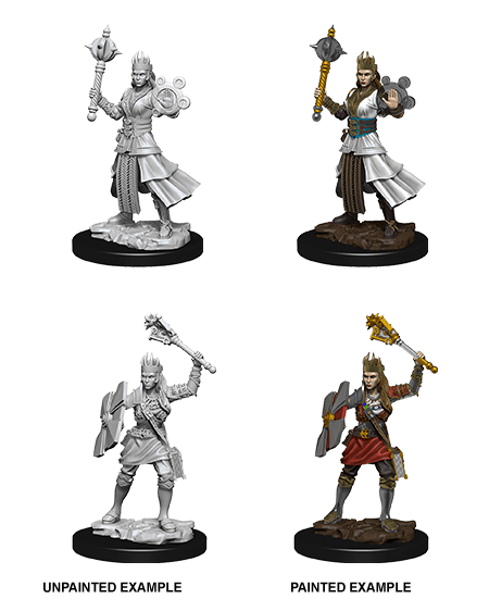 D&D Nolzurs Marvelous Unpainted Miniatures Female Human Cleric