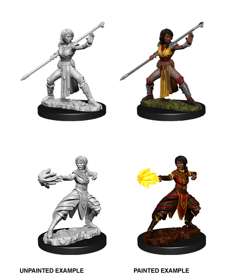 D&D Nolzur's Marvelous Miniatures | Half-Elf Monk (Female)