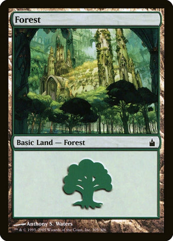 Forest (305) [Ravnica: City of Guilds]
