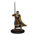 D&D Premium Painted Figures | Human Cleric Male