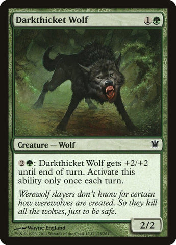 Darkthicket Wolf [Innistrad]