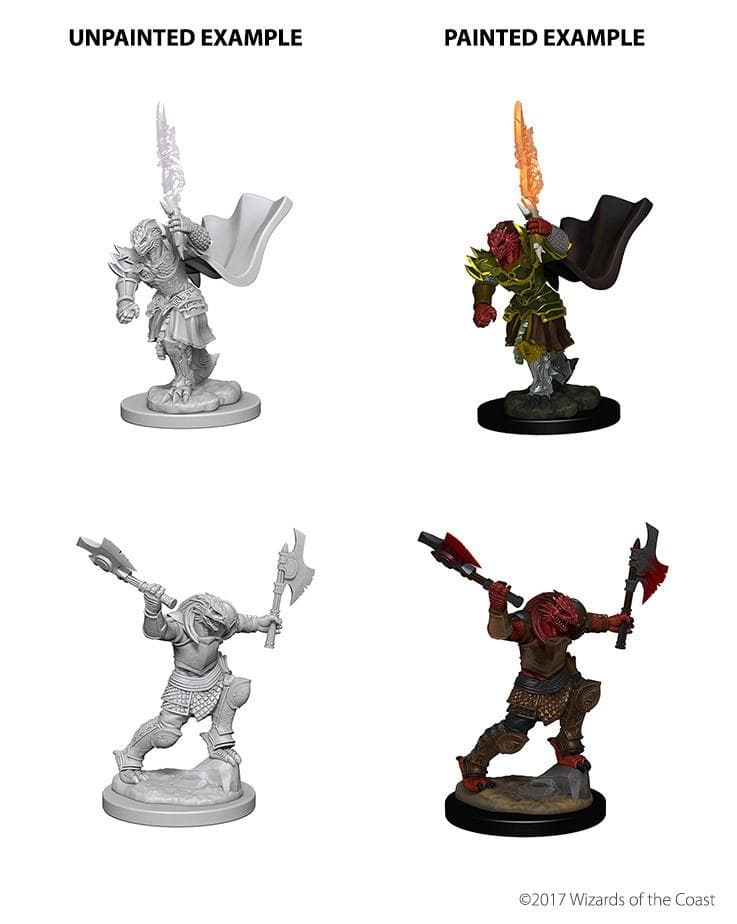 D&D Nolzur's Marvelous Miniatures | Dragonborn Fighter (Female - B)