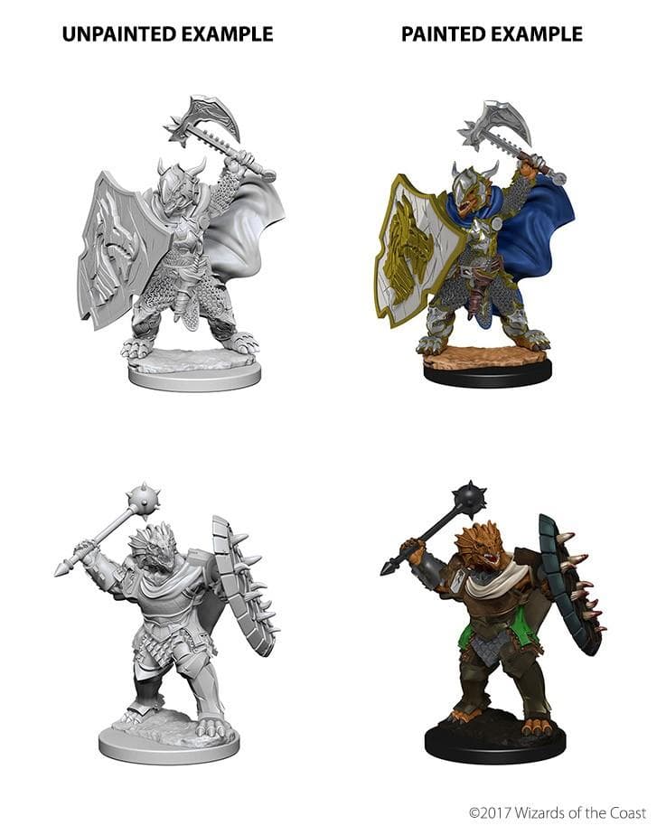 D&D Nolzur's Marvelous Miniatures | Dragonborn Paladin (Male - C)