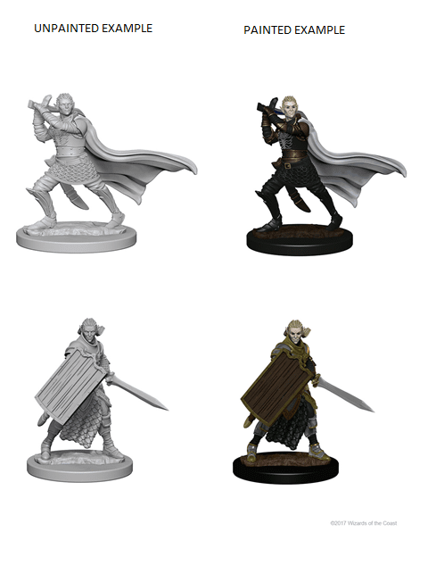 Pathfinder Battles: Deep Cuts Miniatures | Elf Male Paladin