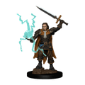 Pathfinder Battles Premium Painted Figure Human Cleric Male