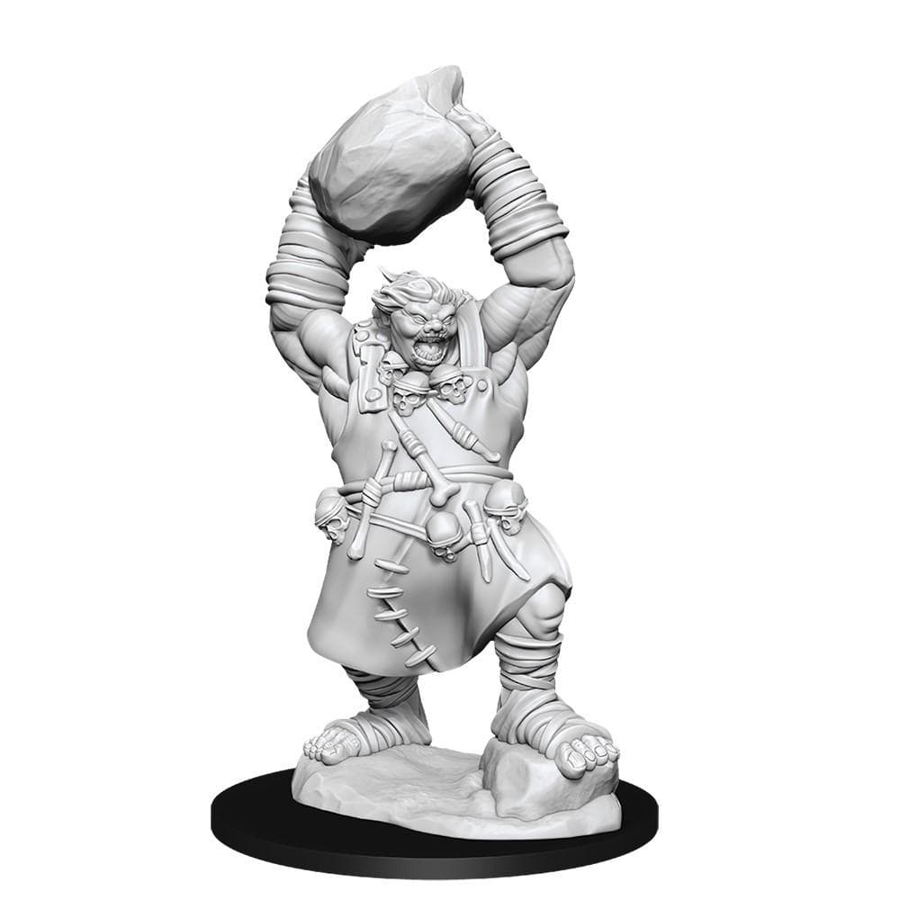Pathfinder Battles: Deep Cuts Miniatures | Ogre