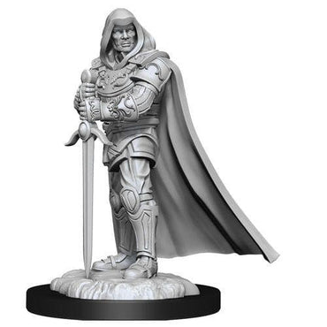 D&D | Masculine Human Paladin | Nolzur's Marvelous Miniatures (Unpainted)