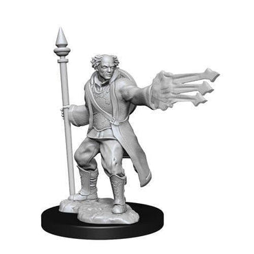 D&D | Masculine Multiclass Cleric + Wizard | Nolzur's Marvelous Miniatures (Unpainted)