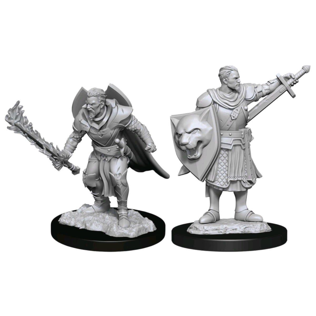 Pathfinder Battles: Deep Cuts Miniatures | Human Champion (Male)
